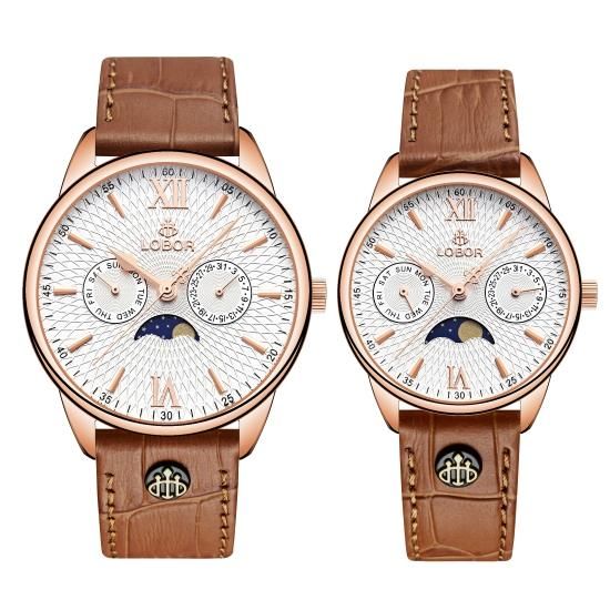 MERIDIAN PERIHELION BROWN PAIR
